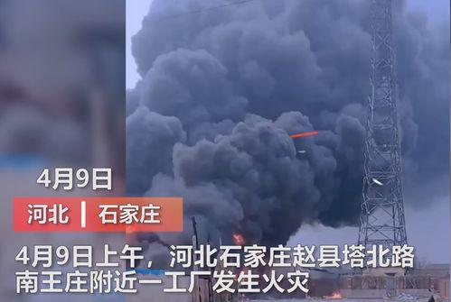 魏县最新事件爆料视频大全,现场直击，真相揭秘